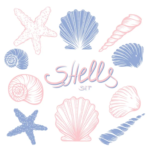 Deniz kabuklarını çizilmiş rose kuvars ve mor renk kümesi.