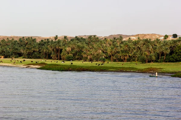 Nile landschap — Stockfoto