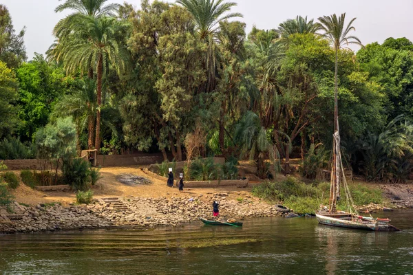 Torte al Nilo — Foto Stock