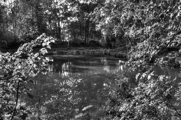 Black and white pond — Stock Photo, Image