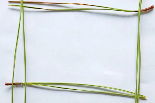 yeşil otlar çerçeve