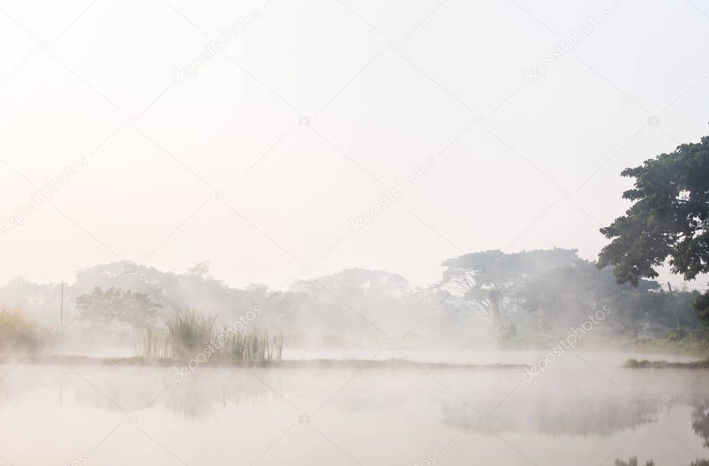 View of pond with fog in the morning, countryside Chiangmai province Thailand