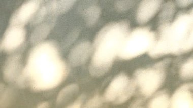 Duvarda gölgeler bırakır, Chiangmai Tayland açıklarında.