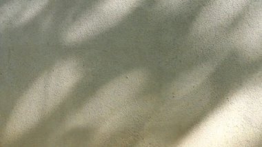 Duvarda gölgeler bırakır, Chiangmai Tayland açıklarında.