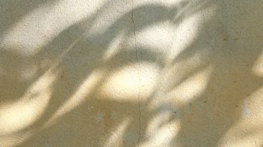 Duvarda gölgeler bırakır, Chiangmai Tayland açıklarında.