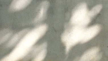 Duvarda gölgeler bırakır, Chiangmai Tayland açıklarında.