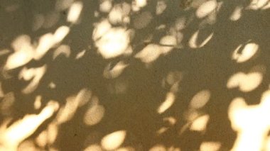 Duvarda gölgeler bırakır, Chiangmai Tayland açıklarında.