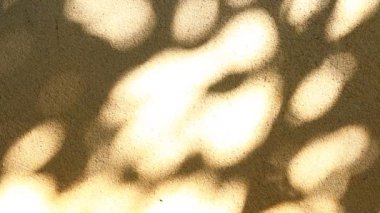 Duvarda gölgeler bırakır, Chiangmai Tayland açıklarında.