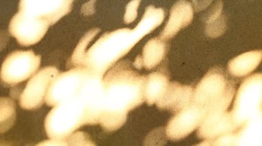 Duvarda gölgeler bırakır, Chiangmai Tayland açıklarında.