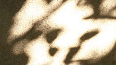 Duvarda gölgeler bırakır, Chiangmai Tayland açıklarında.