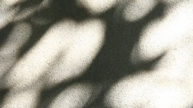 Duvarda gölgeler bırakır, Chiangmai Tayland açıklarında.