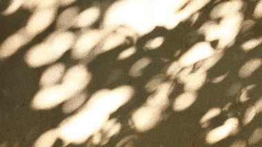 Duvarda gölgeler bırakır, Chiangmai Tayland açıklarında.