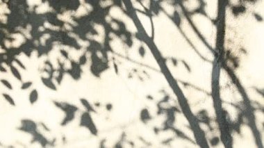 Duvarda gölgeler bırakır, Chiangmai Tayland açıklarında.