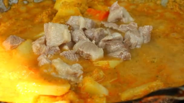 Kari Rebus Dalam Pot Makanan India — Stok Video