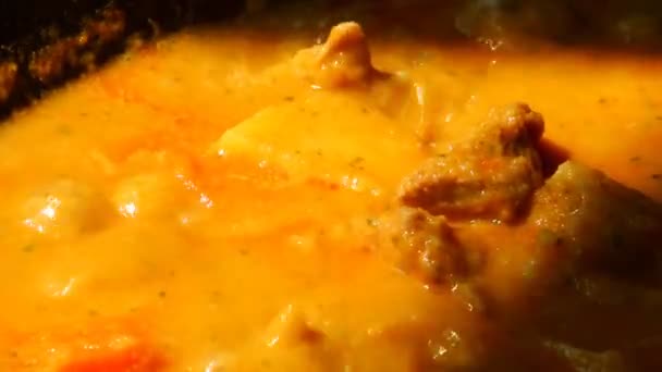 Gotować Kari Curry Garnku Indyjskie Jedzenie — Wideo stockowe