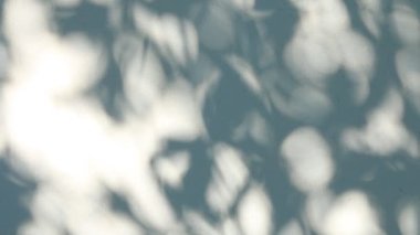 Duvarda gölgeler bırakır, Chiangmai Tayland açıklarında.