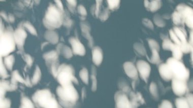 Duvarda gölgeler bırakır, Chiangmai Tayland açıklarında.