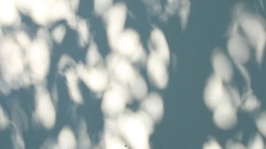 Duvarda gölgeler bırakır, Chiangmai Tayland açıklarında.