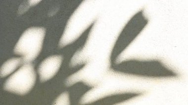 Duvarda gölgeler bırakır, Chiangmai Tayland açıklarında.