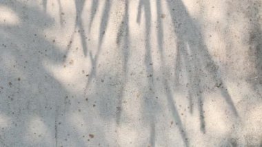 Duvarda gölgeler bırakır, Chiangmai Tayland açıklarında.