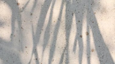 Duvarda gölgeler bırakır, Chiangmai Tayland açıklarında.