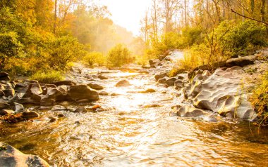 Samang Bölgesi, Chiangmai Tayland 'da akarsu
