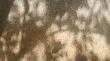 Duvarda gölgeler bırakır, Chiangmai Tayland açıklarında.