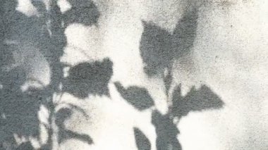 Duvarda gölgeler bırakır, Chiangmai Tayland açıklarında.