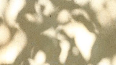 Duvarda gölgeler bırakır, Chiangmai Tayland açıklarında.