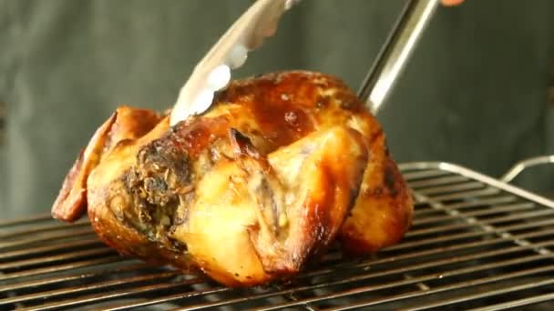 치앙마이 스튜디오에서 스토브 위에서 닭고기 — 비디오