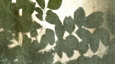 Duvarda gölgeler bırakır, Chiangmai Tayland açıklarında.