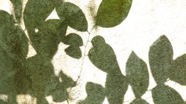 Duvarda gölgeler bırakır, Chiangmai Tayland açıklarında.