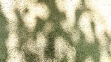 Duvarda gölgeler bırakır, Chiangmai Tayland açıklarında.