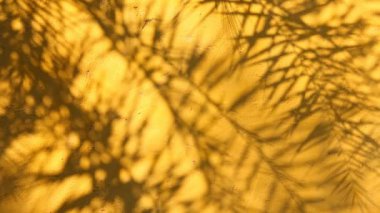 Duvarda gölgeler bırakır, Chiangmai Tayland açıklarında.