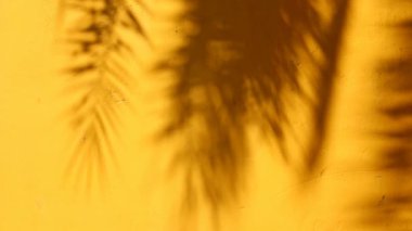 Duvarda gölgeler bırakır, Chiangmai Tayland açıklarında.