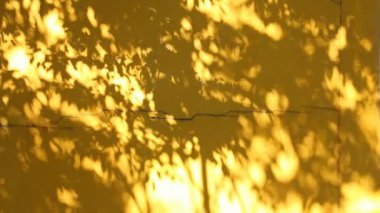 Duvarda gölgeler bırakır, Chiangmai Tayland açıklarında.