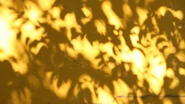 Duvarda gölgeler bırakır, Chiangmai Tayland açıklarında.