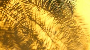 Duvarda gölgeler bırakır, Chiangmai Tayland açıklarında.