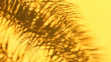 Duvarda gölgeler bırakır, Chiangmai Tayland açıklarında.