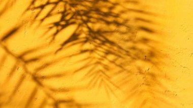 Duvarda gölgeler bırakır, Chiangmai Tayland açıklarında.