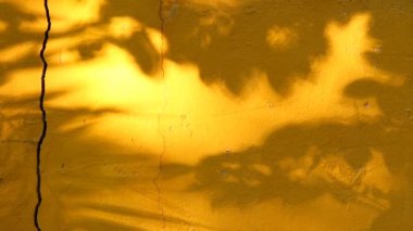 Duvarda gölgeler bırakır, Chiangmai Tayland açıklarında.