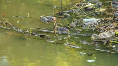 Sudaki plastik hurda, kırsal kanal Chiangmai Tayland