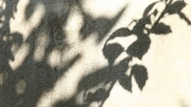 Duvarda gölgeler bırakır, Chiangmai Tayland açıklarında.