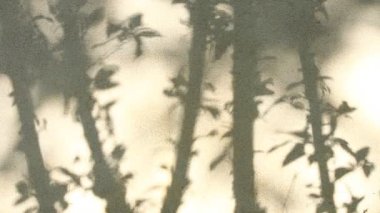 Duvarda gölgeler bırakır, Chiangmai Tayland açıklarında.