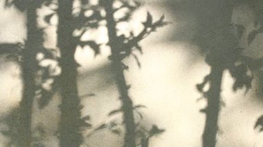 Duvarda gölgeler bırakır, Chiangmai Tayland açıklarında.