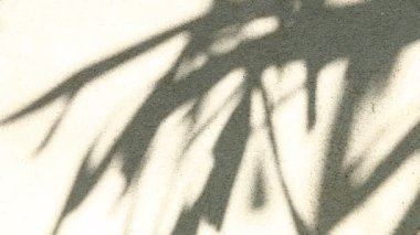 Duvarda gölgeler bırakır, Chiangmai Tayland açıklarında.