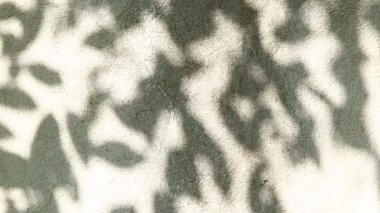 Duvarda gölgeler bırakır, Chiangmai Tayland açıklarında.