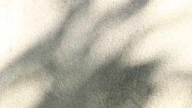 Duvarda gölgeler bırakır, Chiangmai Tayland açıklarında.