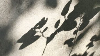 Duvarda gölgeler bırakır, Chiangmai Tayland açıklarında.