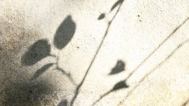 Duvarda gölgeler bırakır, Chiangmai Tayland açıklarında.